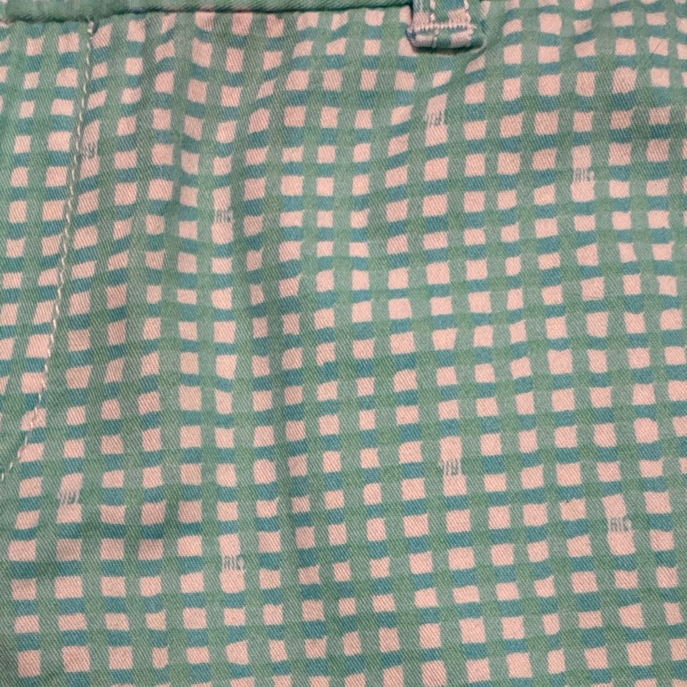 Lilly Pulitzer Mint Checkered Scalloped Shorts - Picture 4 of 4